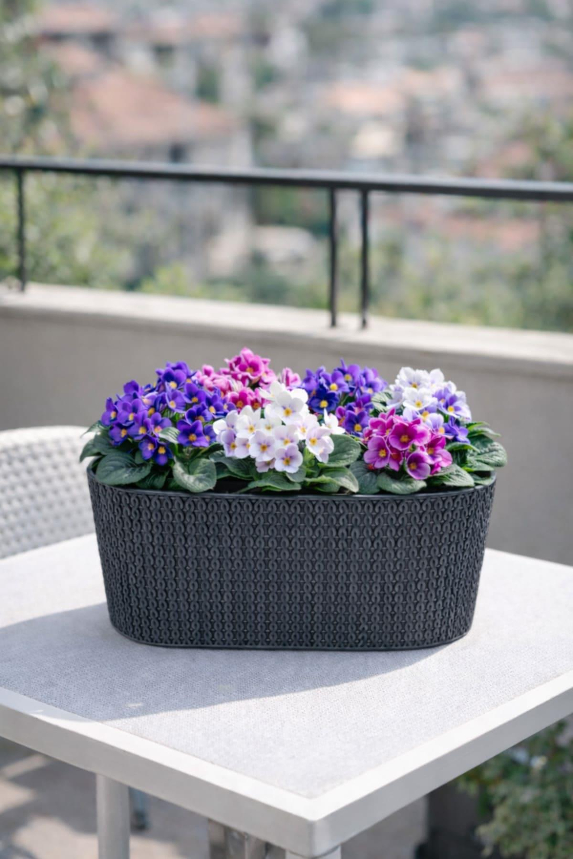 Serinova SMLB Sümela Balkon Çiçek ve Bitki Saksısı 4,7 Litre | ID5541