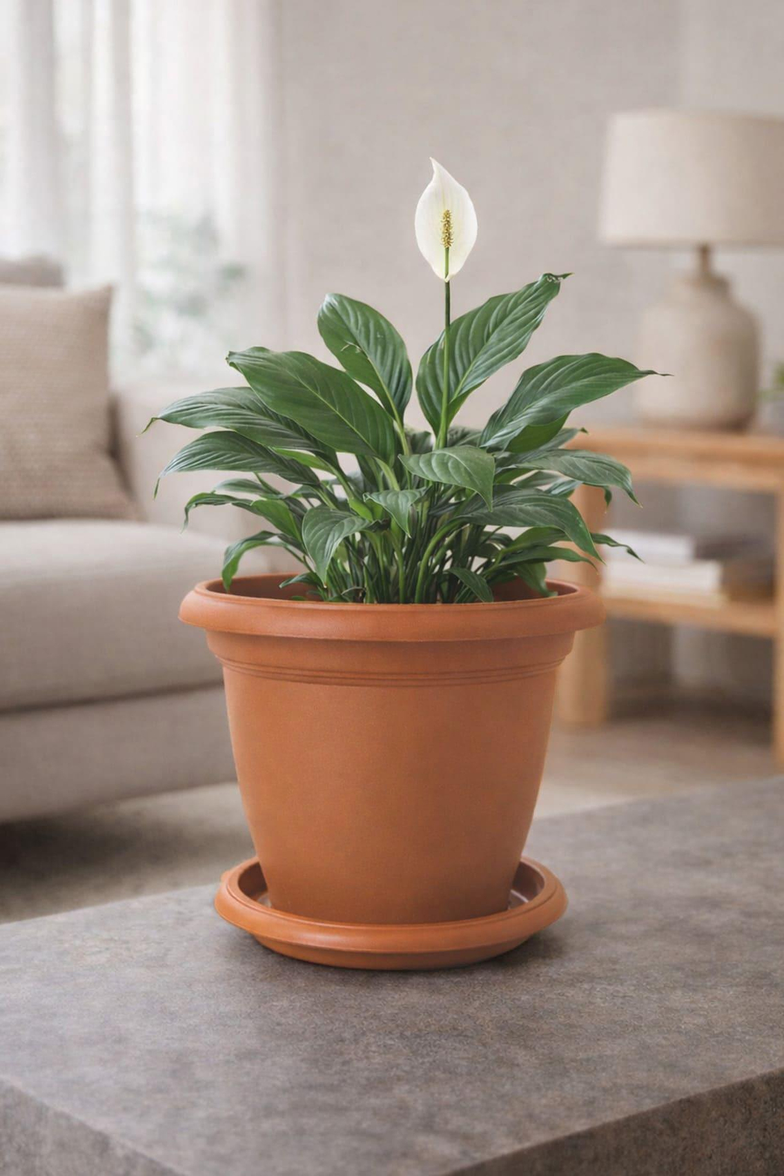 Serinova V506 Villa Saksı 5 Litre No:6 | ID2791
