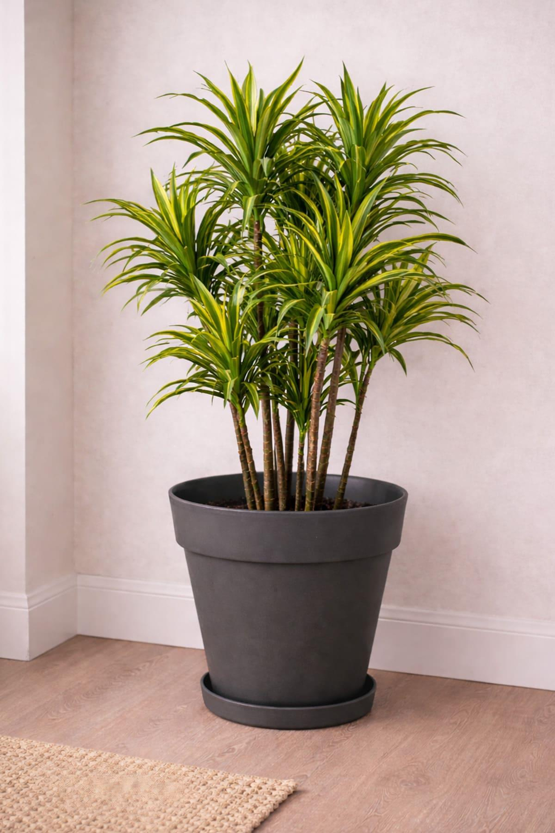 Serinova YS05 Yalı Saksı 10 Litre | ID1367