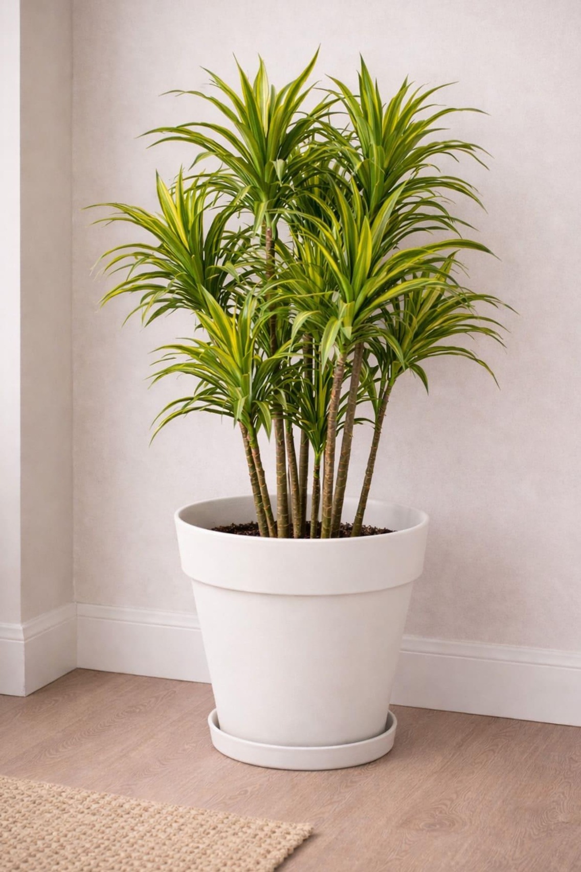 Serinova YS05 Yalı Saksı 10 Litre | ID1367