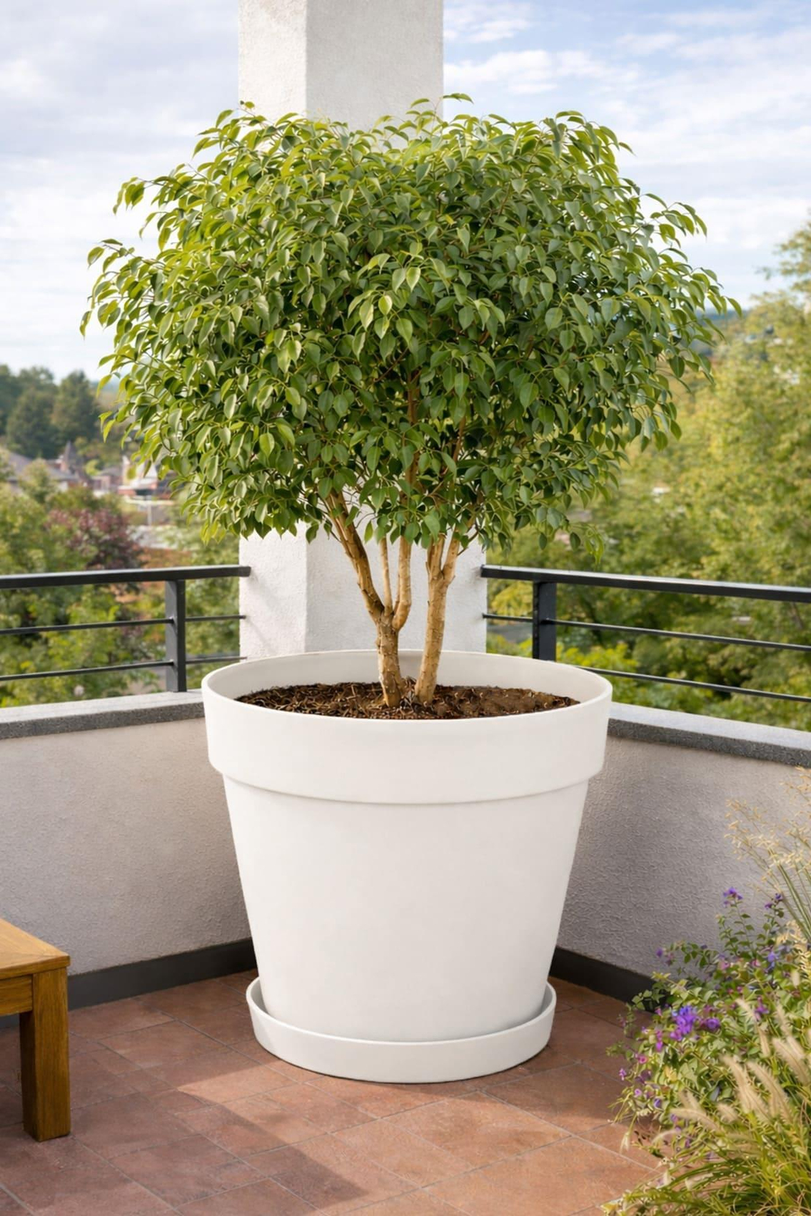 Serinova YS07 Yalı Saksı 46 Litre | ID1369