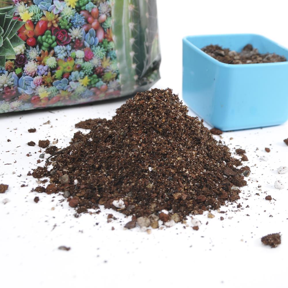 Sukulent Kaktüs Toprağı 1,5 Litre -  Mineralli Bitki Çiçek Toprak | ID5553