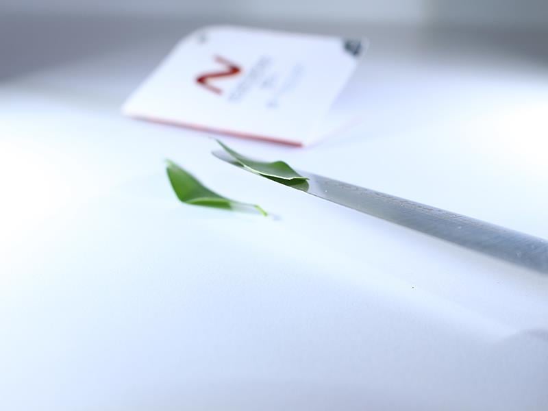 Sürbisa Sürmene Orijinal Deri Yüzme Bıçağı 61109 | ID567