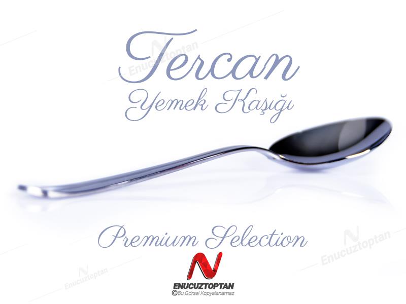 Tercan Sade 430 Paslanmaz Çelik Yemek Kaşığı 12li | ID4348