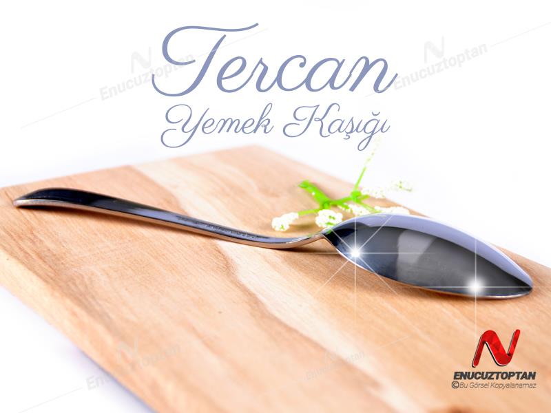 Tercan Sade 430 Paslanmaz Çelik Yemek Kaşığı 12li | ID4348