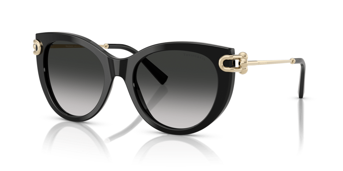 TIFFANY&CO. TF4232 C.8001/3C 53-19 Güneş Gözlüğü