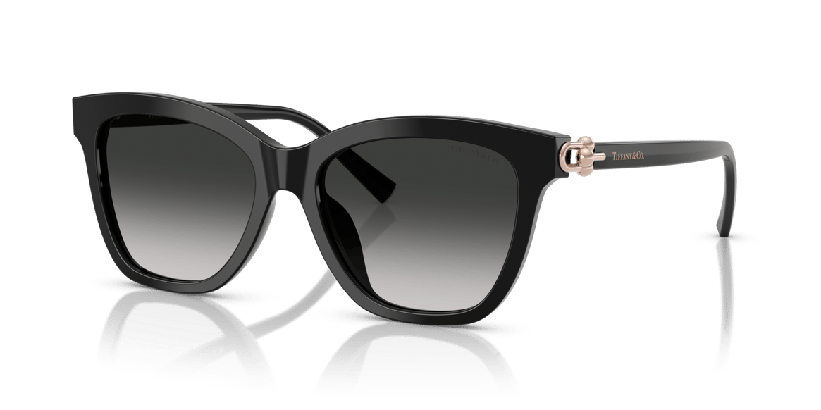 TIFFANY&CO. TF4241-D C.8001/3C 54-17 Güneş Gözlüğü