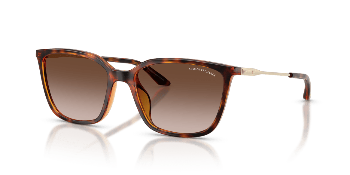 ARMANI EXCHANGE AX4171SU C.821313 55-17 Güneş Gözlüğü