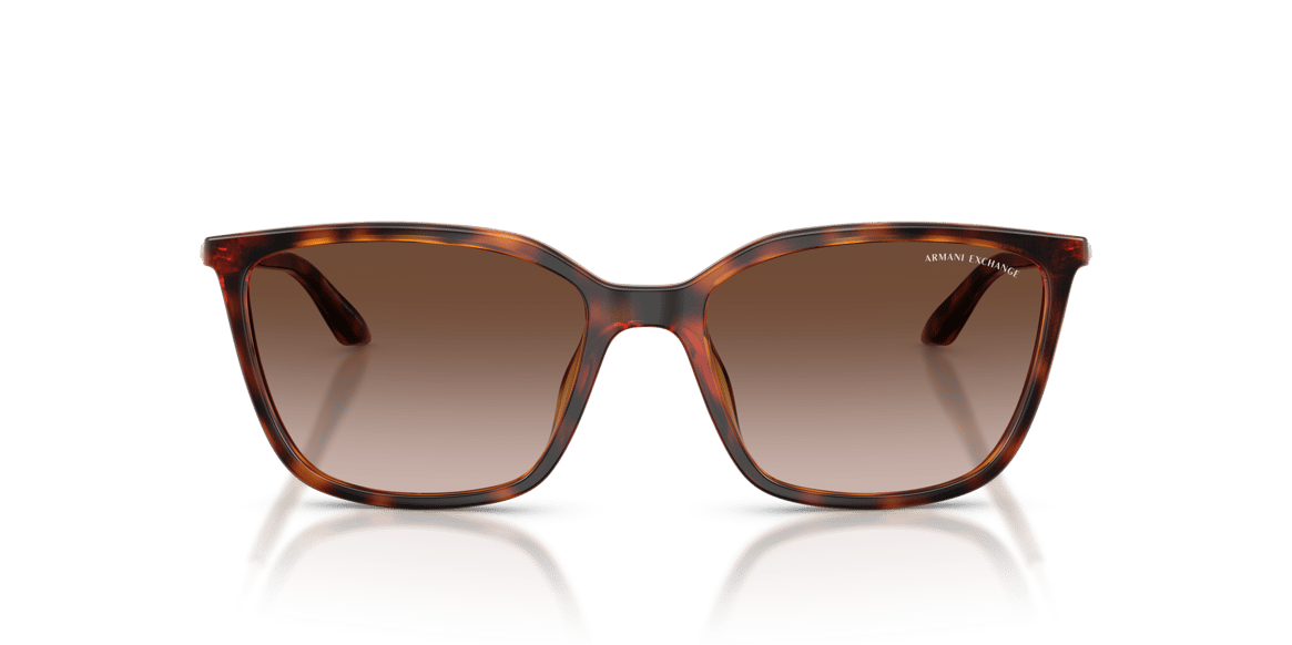 ARMANI EXCHANGE AX4171SU C.821313 55-17 Güneş Gözlüğü