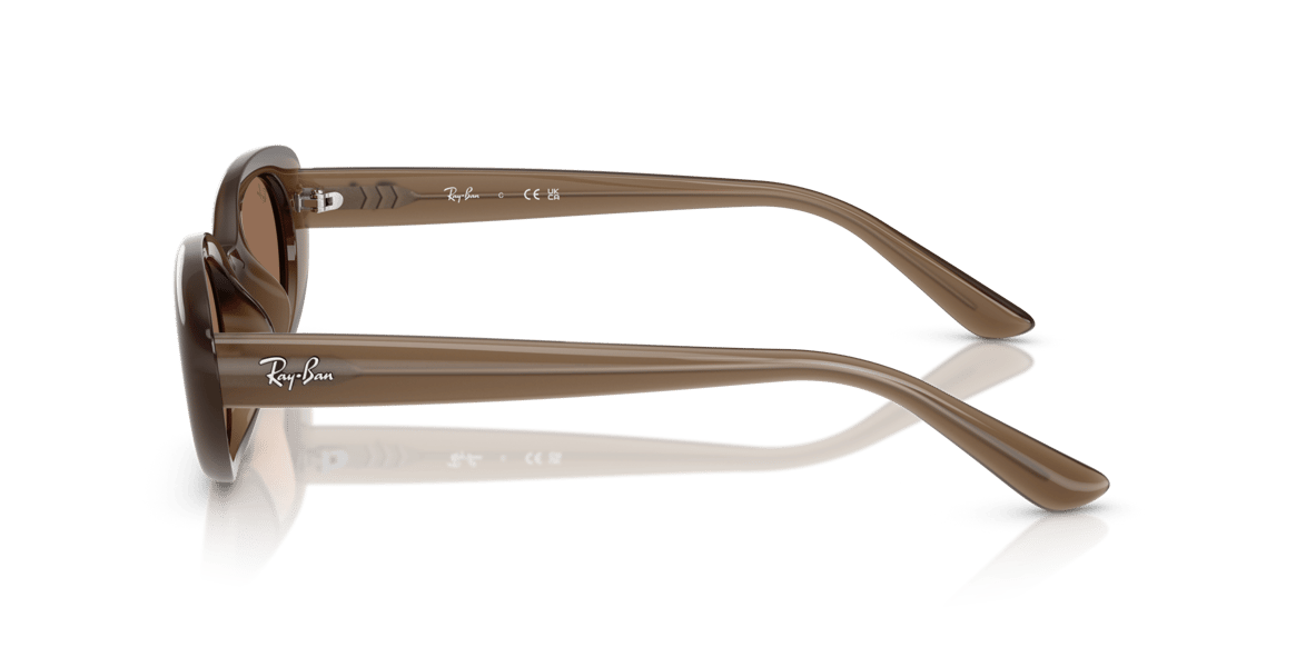 RAYBAN RB4441D C.677973 53-21 Güneş Gözlüğü