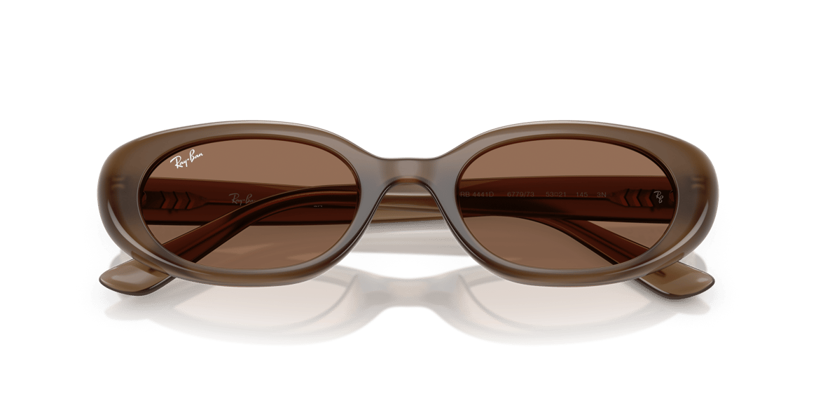 RAYBAN RB4441D C.677973 53-21 Güneş Gözlüğü