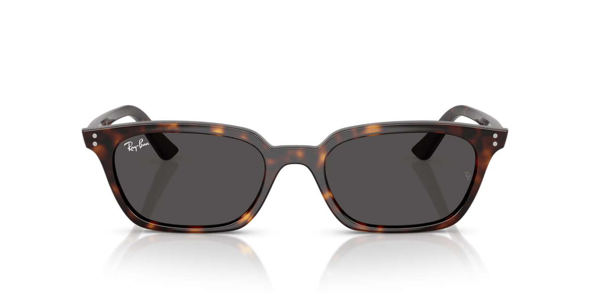 RAYBAN RB4456 C.1359/87 50-19 Güneş Gözlüğü