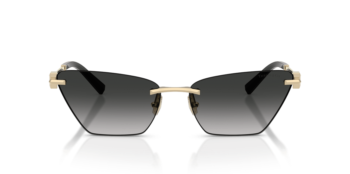 TIFFANY&CO. TF3120 C.6241/3C 61-16 Güneş Gözlüğü
