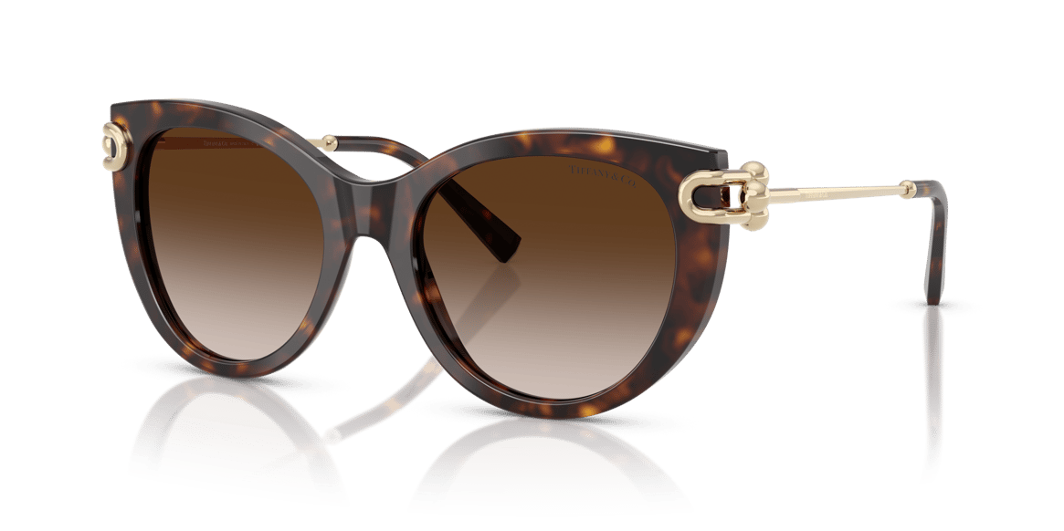 TIFFANY&CO. TF4232 C.8015/3B 53-19 Güneş Gözlüğü