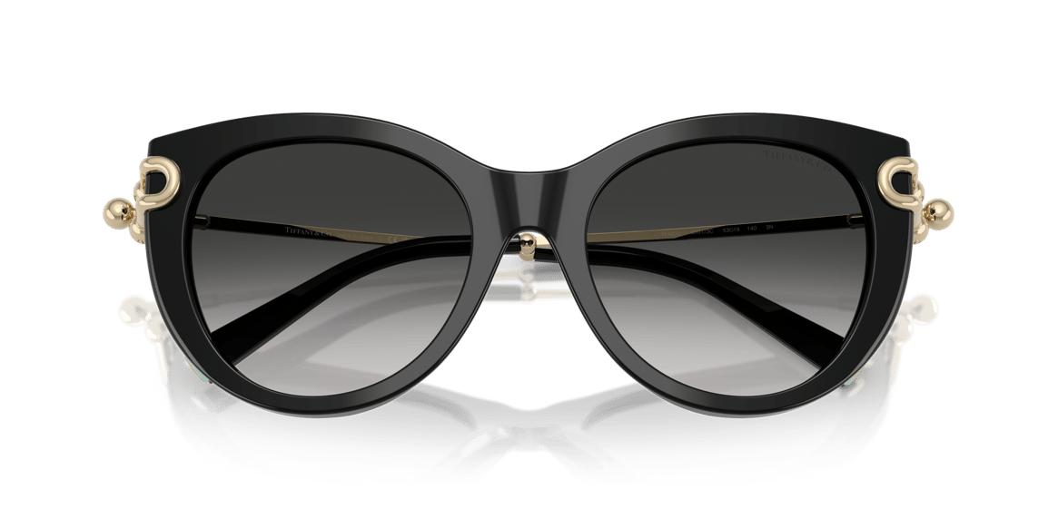 TIFFANY&CO. TF4232 C.8001/3C 53-19 Güneş Gözlüğü