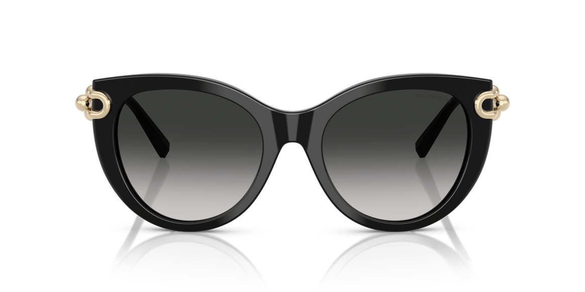 TIFFANY&CO. TF4232 C.8001/3C 53-19 Güneş Gözlüğü