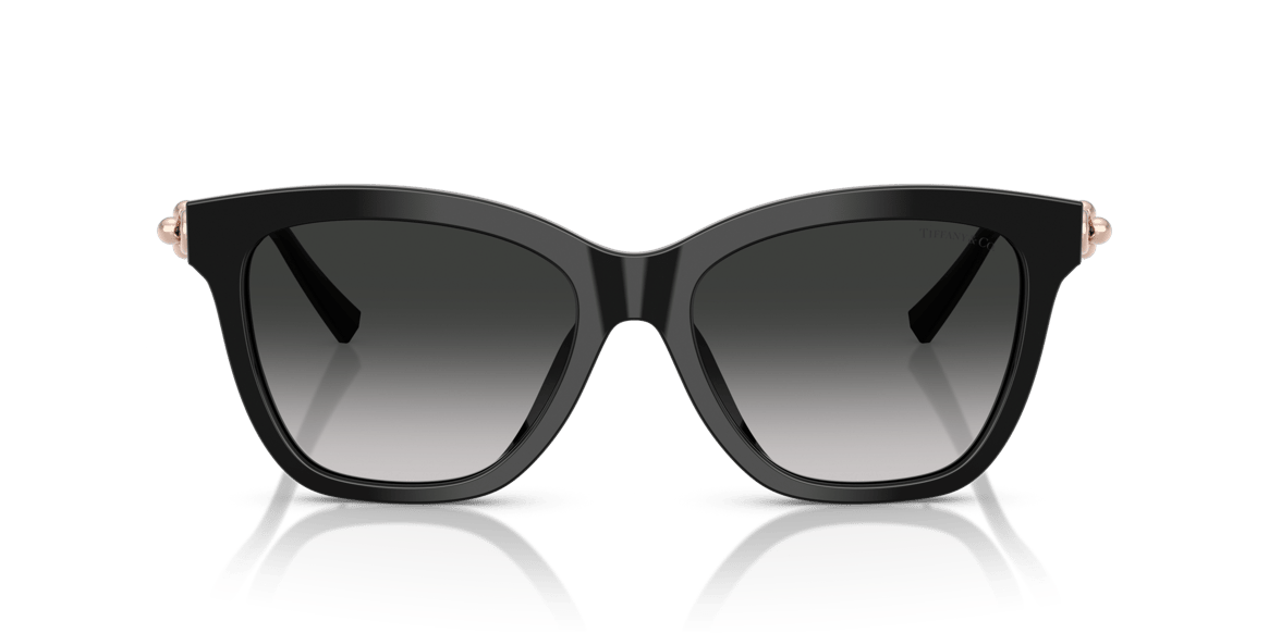 TIFFANY&CO. TF4241-D C.8001/3C 54-17 Güneş Gözlüğü