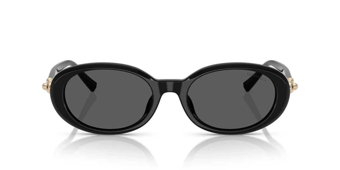 TIFFANY&CO. TF4242-D C.8361/S4 54-19 Güneş Gözlüğü