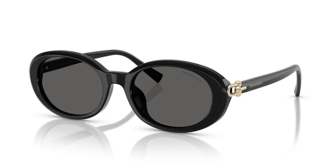 TIFFANY&CO. TF4242-D C.8361/S4 54-19 Güneş Gözlüğü