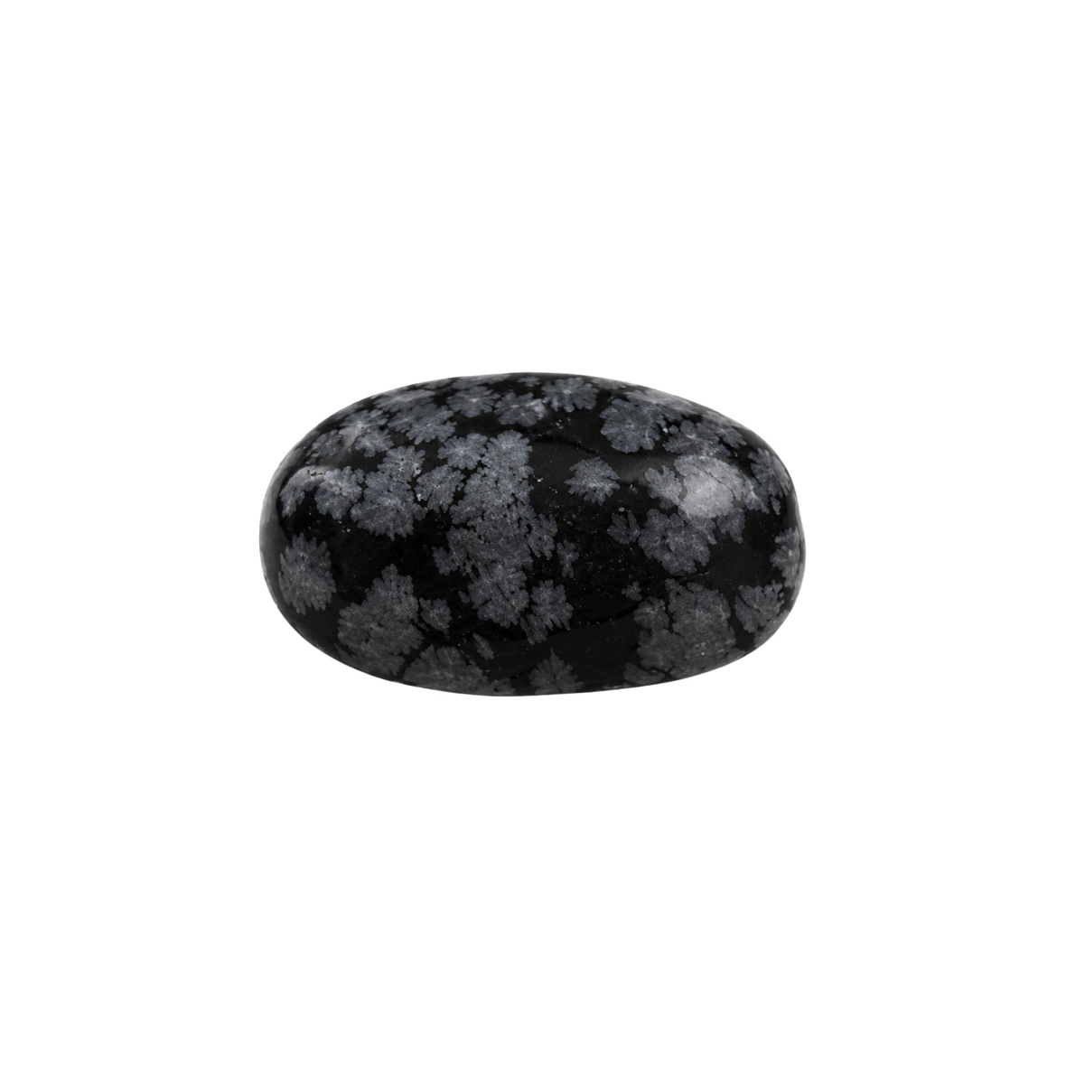 Karlı Obsidyen Tımbıl