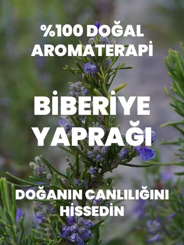 %100 Saf Biberiye Uçucu Yağı 10 Ml