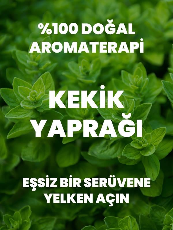 %100 Saf Kekik Uçucu Yağı 10 Ml
