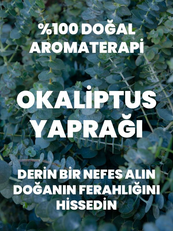 %100 Saf Okaliptus Uçucu Yağı 10 Ml