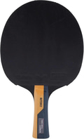 Butterfly Timo Boll Carbon Masa Tenisi Raketi ITTF Onaylı