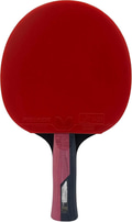 Butterfly Timo Boll Ruby Masa Tenisi Raketi ITTF Onaylı
