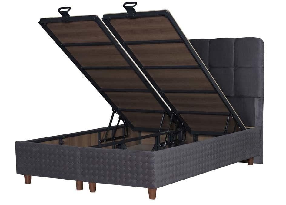 Begonya Başlıksız Baza