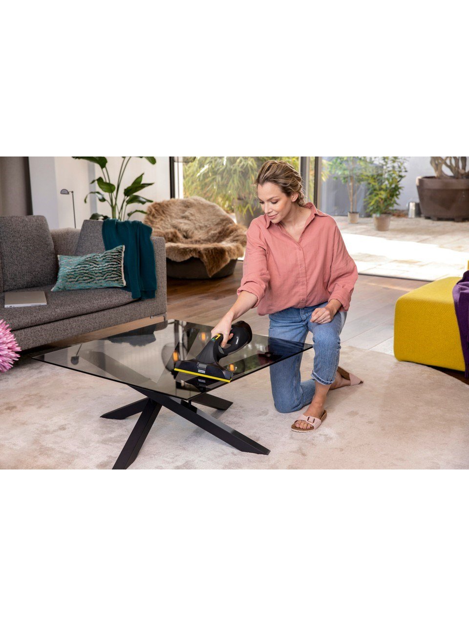 Karcher Wv 5 Plus Anniversary Edition Cam Temizleme Makinesi