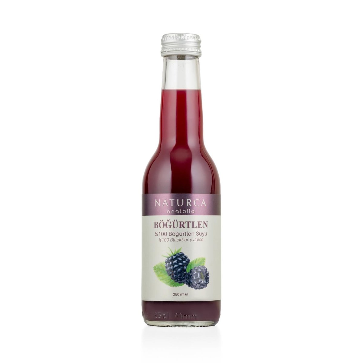 %100 Meyve Suyu  Böğürtlen 250 ml - Naturca