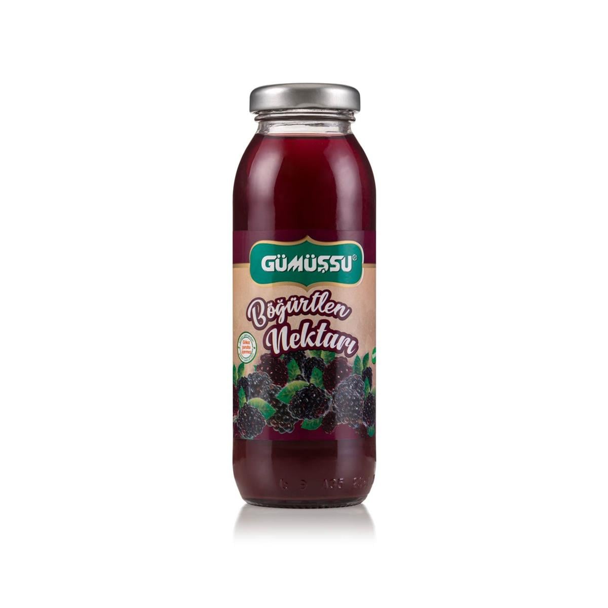 Gümüşsu - Böğürtlen Nektarı 250ml