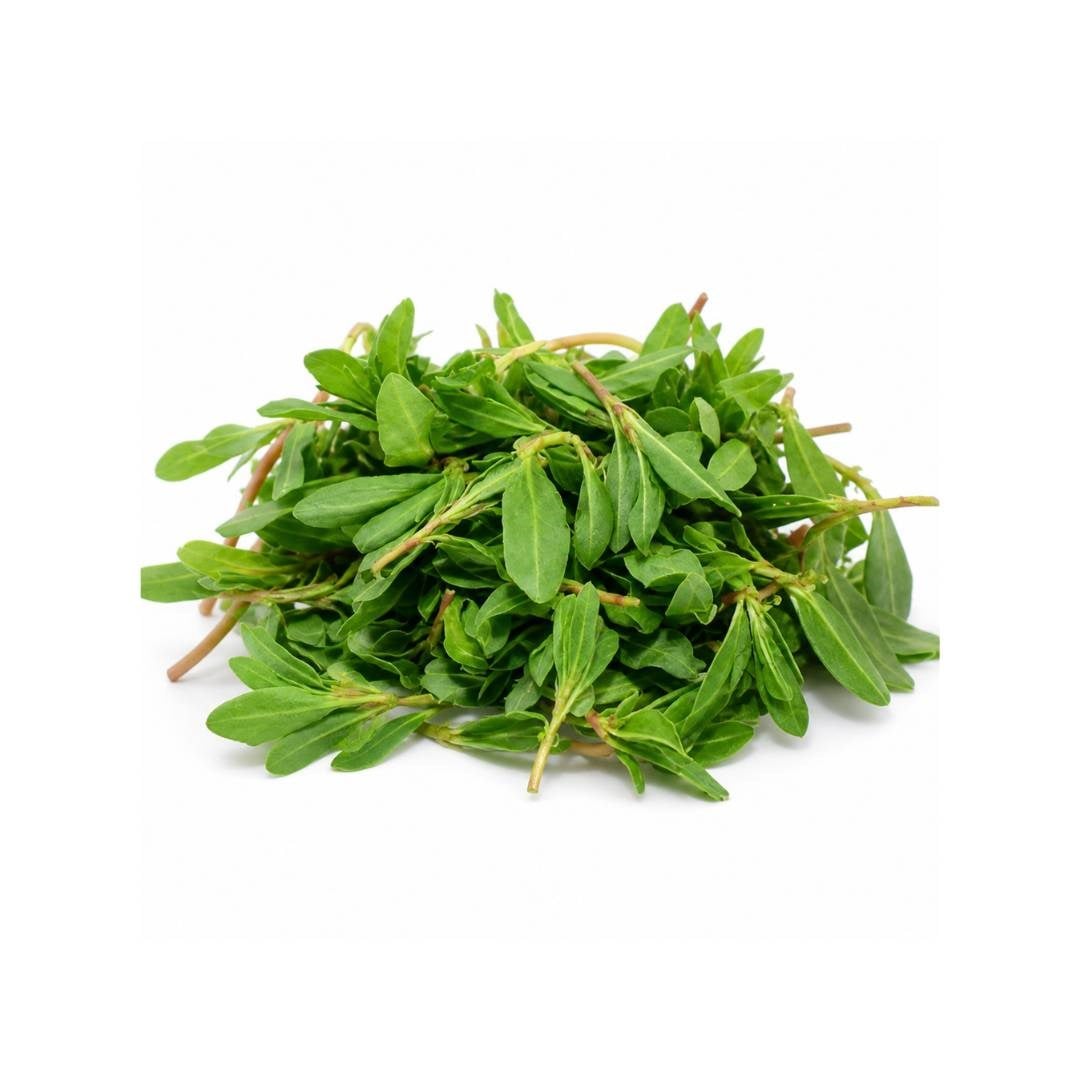 Madımak Otu 500g