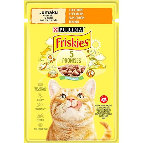 Felix Party Mix Ödül Maması Orjinal Lez. 60gr