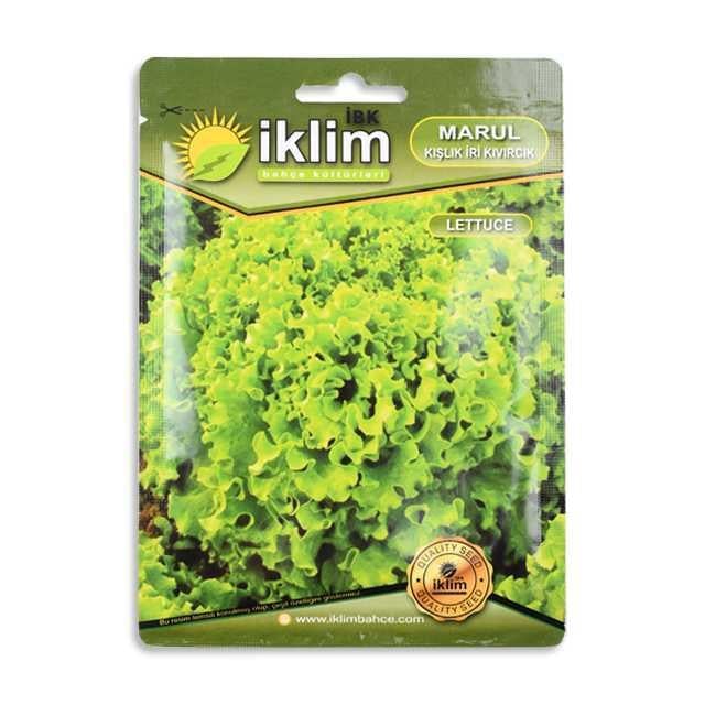 İklim Tohum Marul Kışlık İri Kıvırcık 5GR