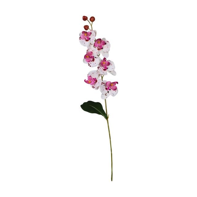 OZGUL OGC-0018 ORKIDE LUX 62 CM