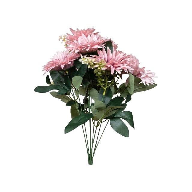 OZGUL OGC-0038 CERBELE 9DAL