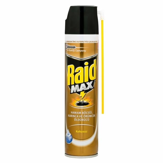 Raid Böcek Savar Max 300Ml