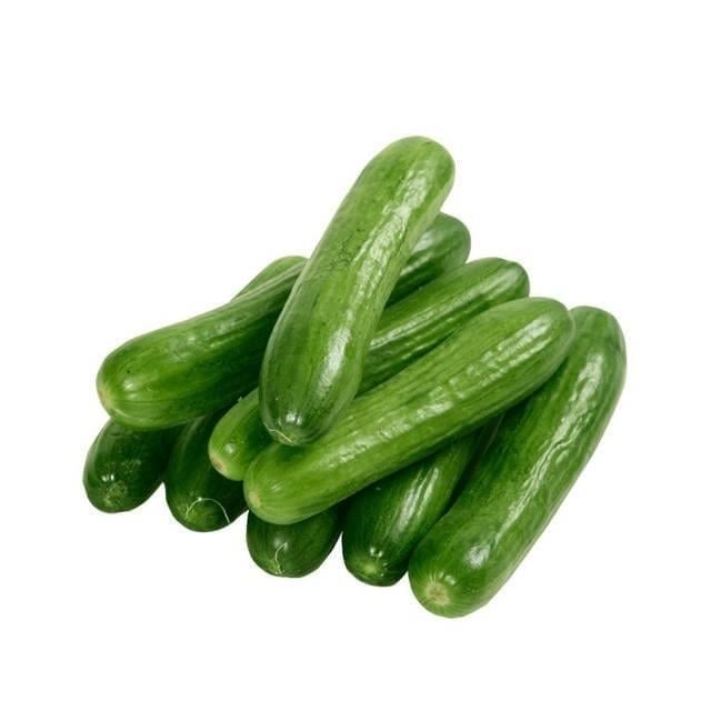 Salatalık Silor Paket (500Gr)