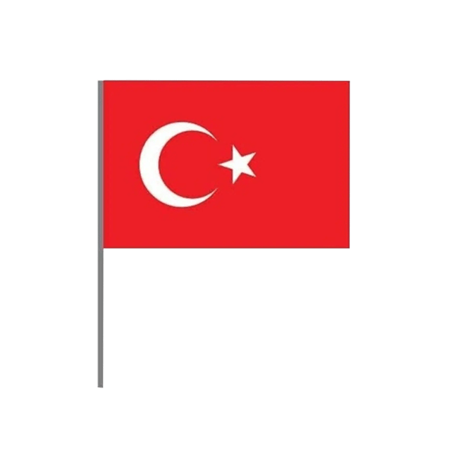 Sopalı Türk Bayrak Battal