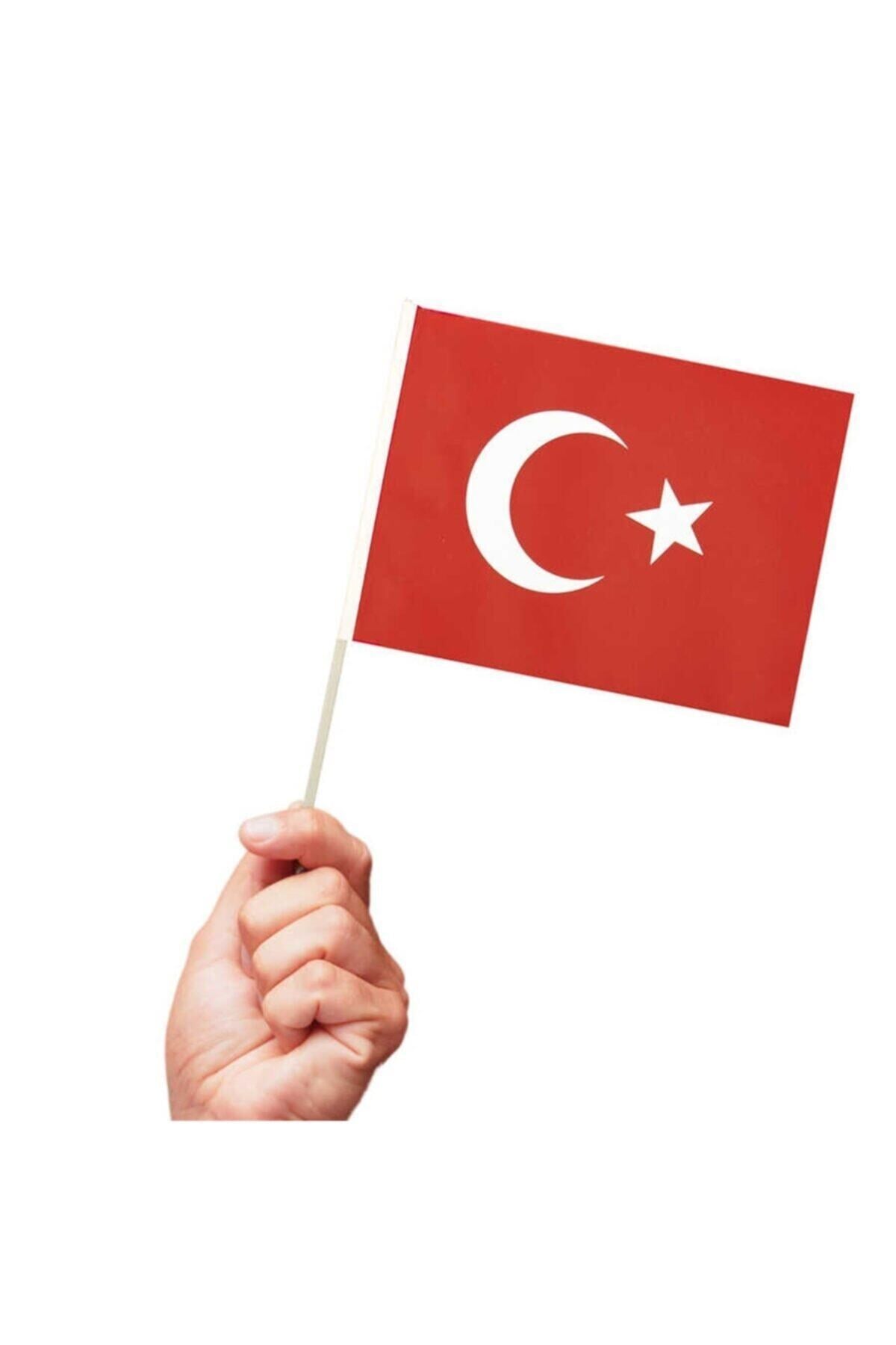 10 Adet Çubuklu Kağıt Türk Bayrağı Çıtalı Sopalı Saplı Ay Yıldız Milli Bayrak Büyük Boy 38x30 Cm