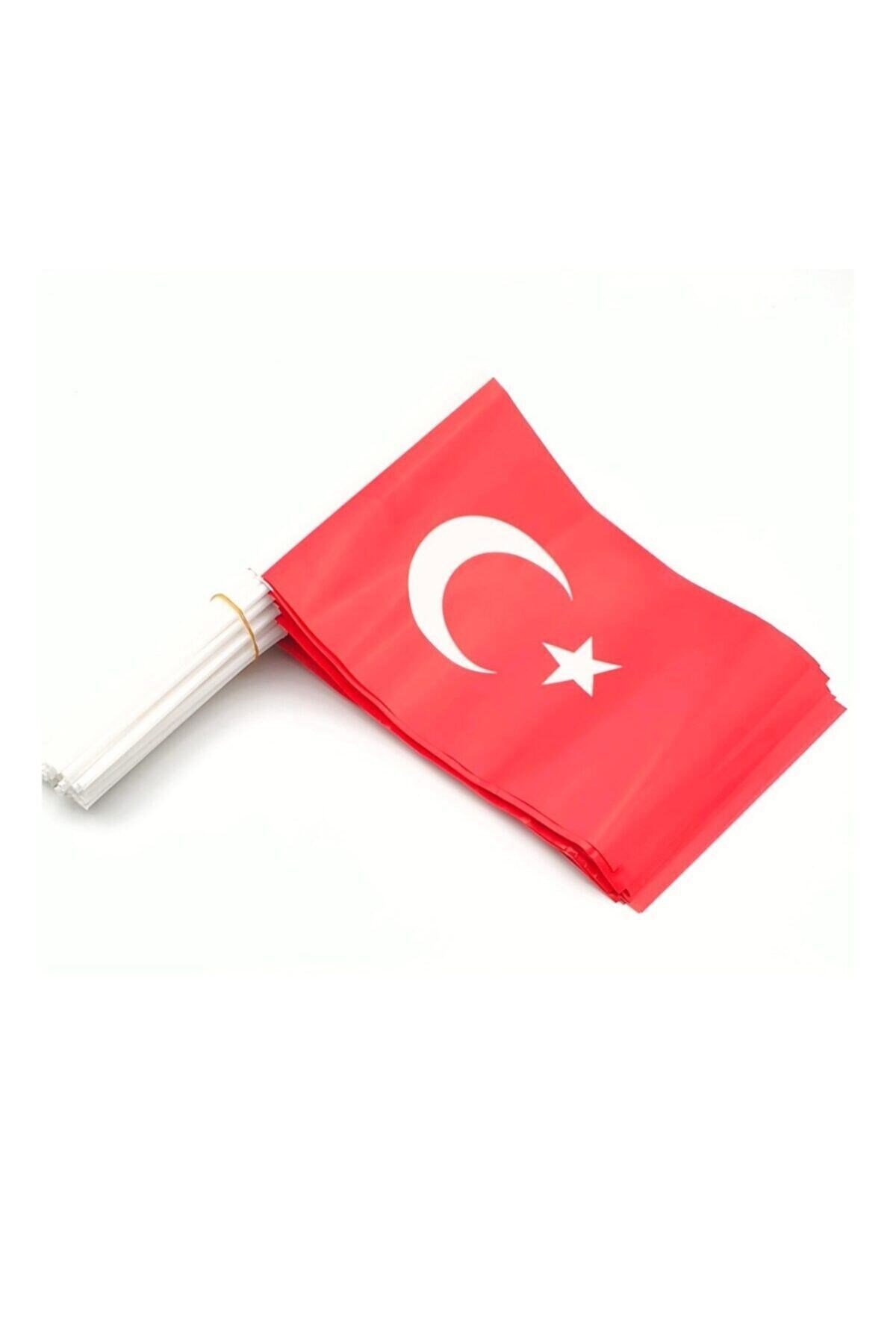 10 Adet Çubuklu Kağıt Türk Bayrağı Çıtalı Sopalı Saplı Ay Yıldız Milli Bayrak Büyük Boy 38x30 Cm