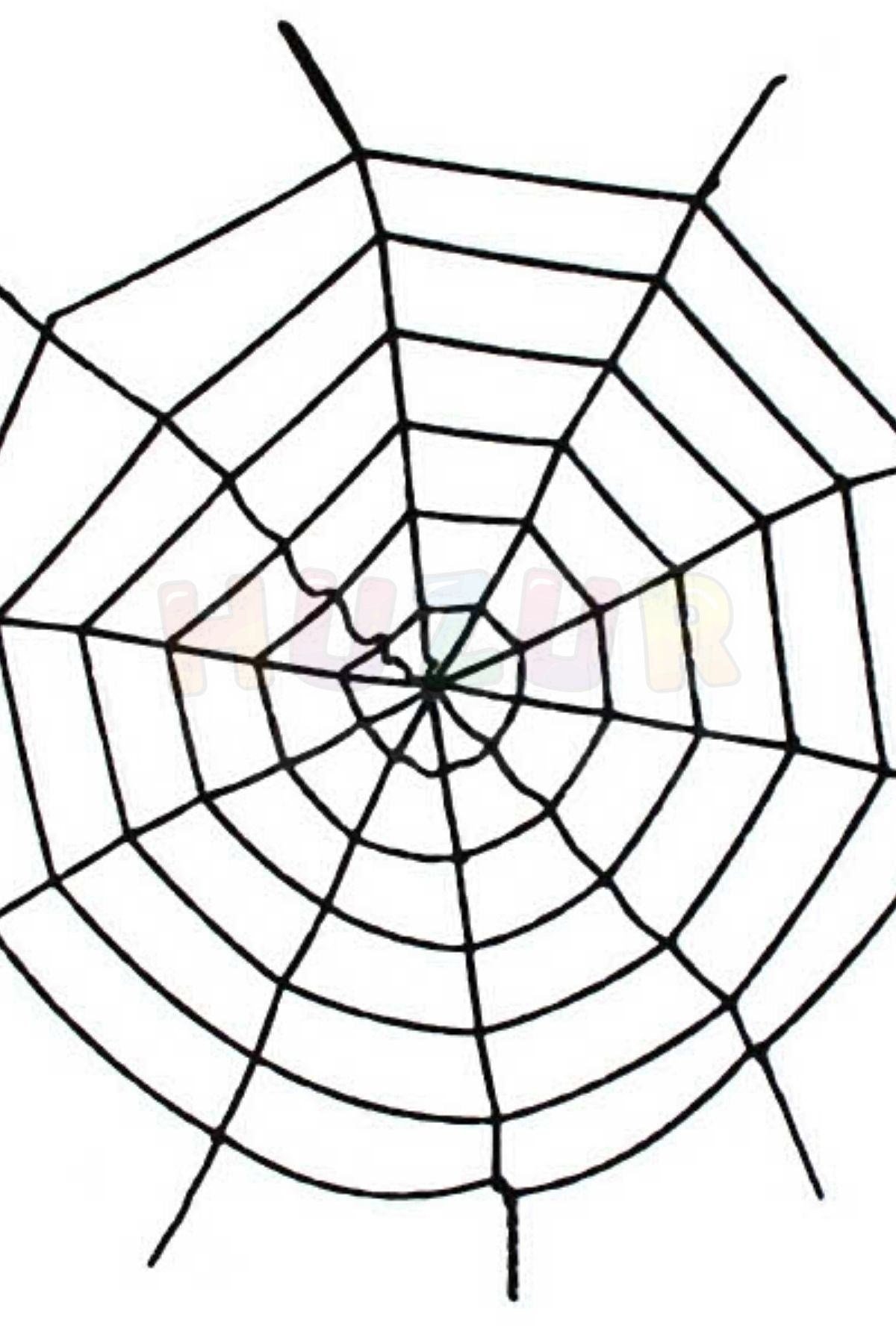 Siyah Örümcek Ağı 2.5 X 2.5 Metre Halloween Partisi Cadılar Bayramı Şaka Ürünü Mekan Süsleme Süsü