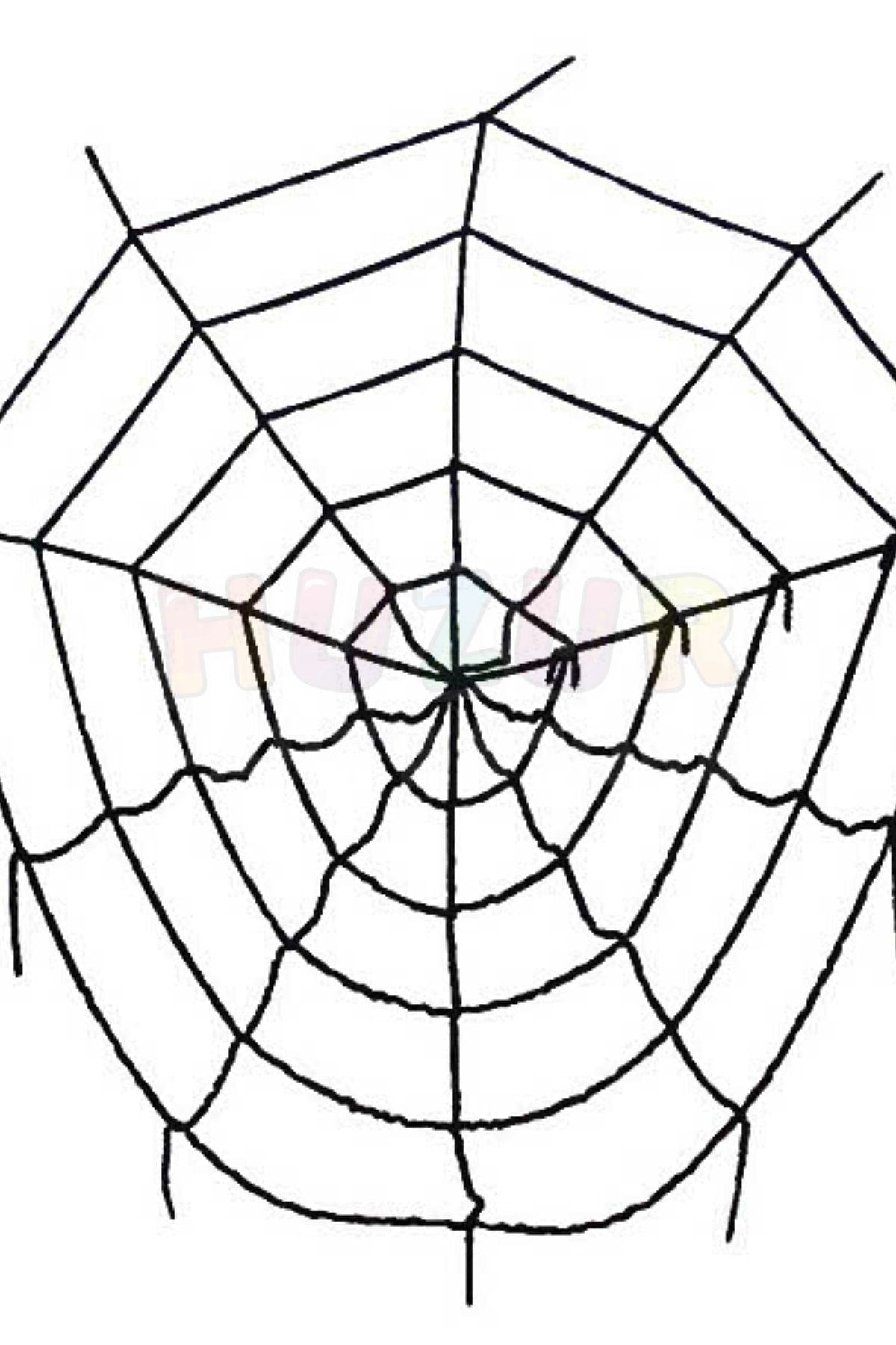 Siyah Örümcek Ağı 2.5 X 2.5 Metre Halloween Partisi Cadılar Bayramı Şaka Ürünü Mekan Süsleme Süsü