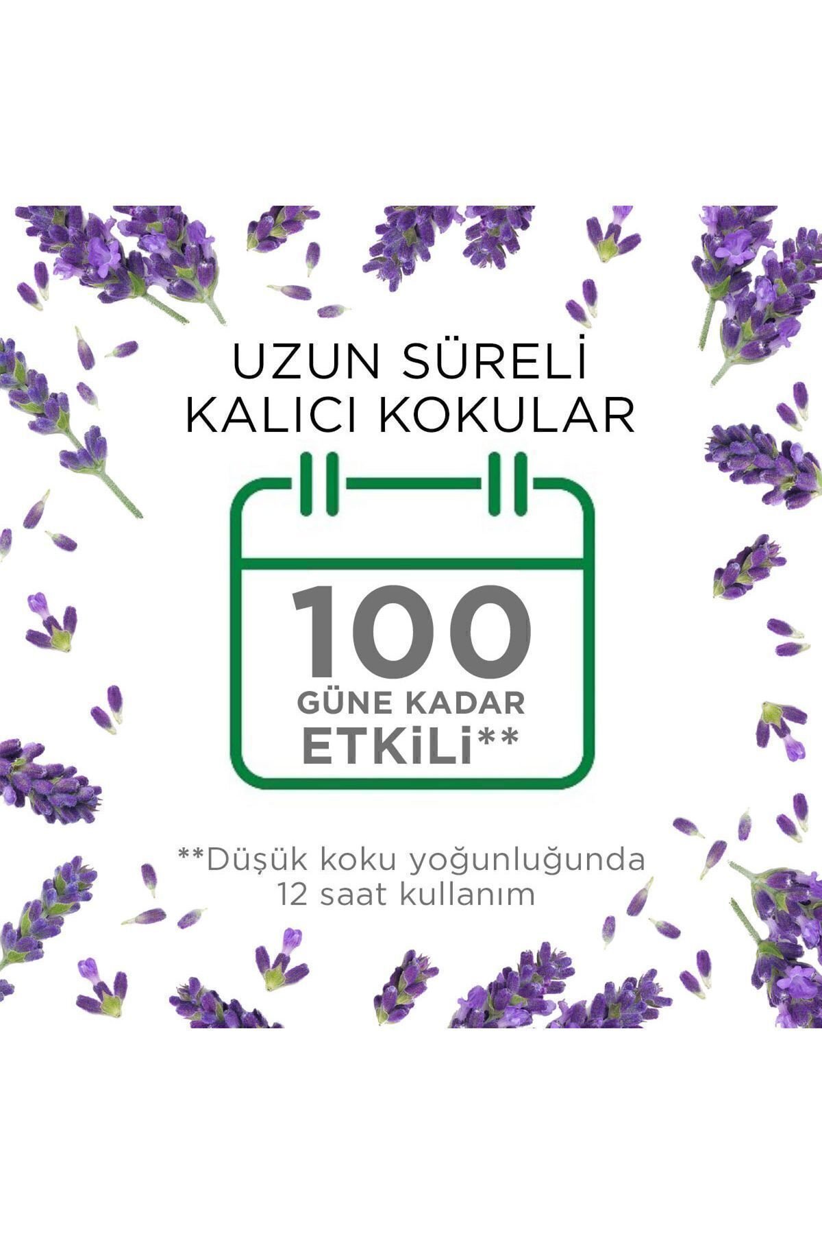 Air Wick Elektrikli Oda Kokusu Cihaz Yedek Şişe Lavanta x2 Adet