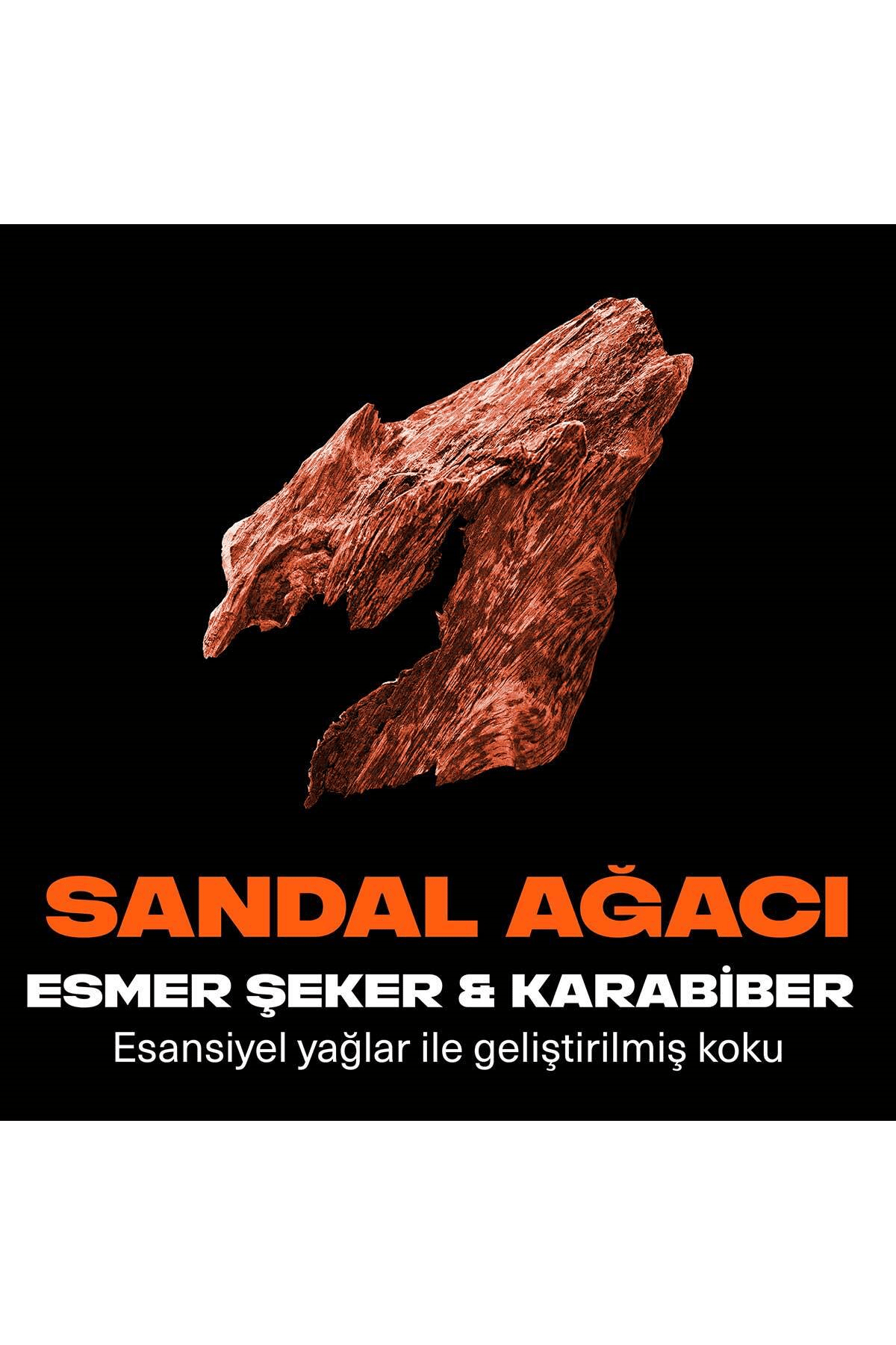 Axe Premium Collection Duş Jeli Copper Santal 3 In 1 Vücut Saç Yüz 300 ml