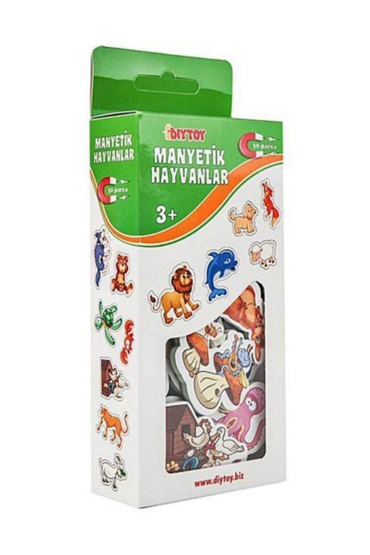 Diytoy Manyetik Hayvanlar 