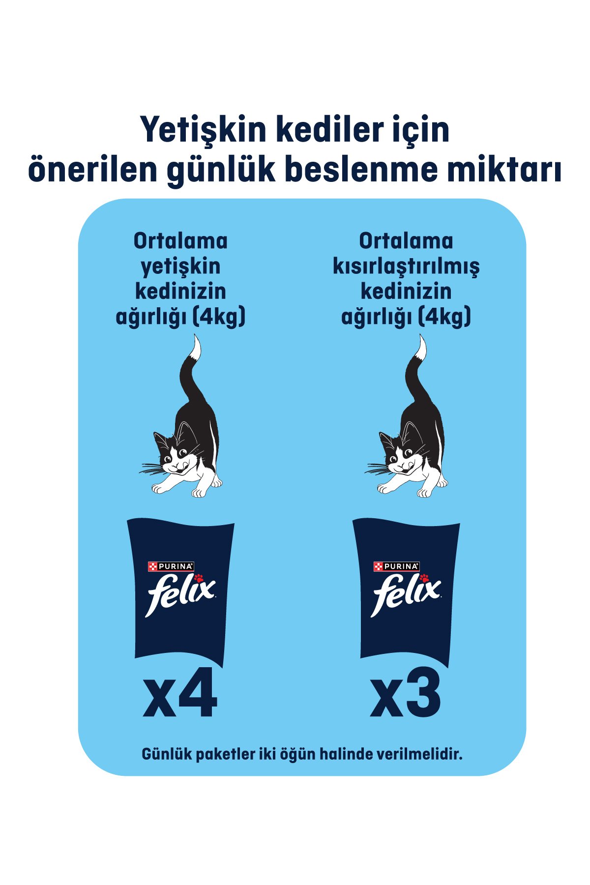 Felix Somonlu Ve Alabalıklı Konserve Yaş Kedi Maması 400 gr X 6 Adet