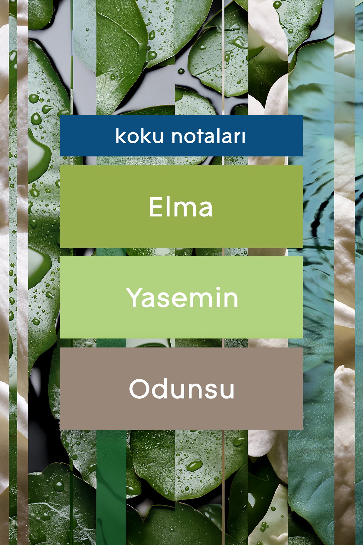Glade Multi Sprey Gül Bahçesi 500 ml Oda Kokusu